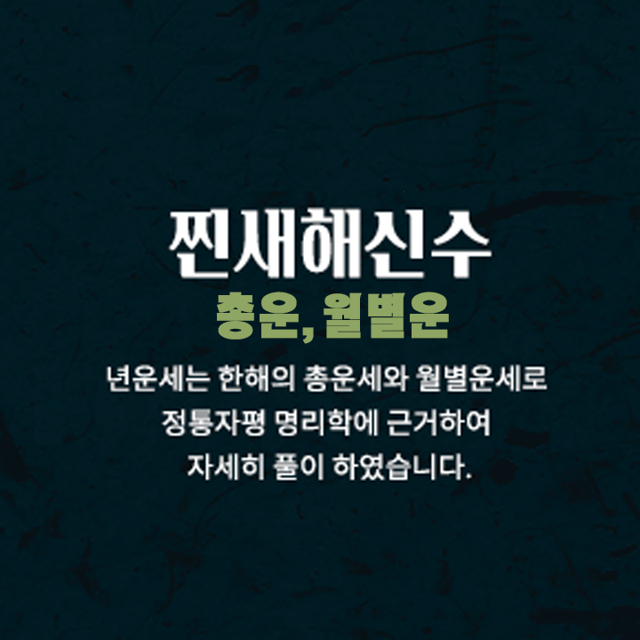 찐새해신수